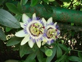 dsc05075.jpg