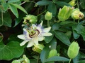 dsc05083.jpg
