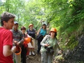 dsc05513.jpg