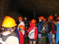 dsc05526.jpg