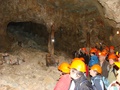 dsc05537.jpg