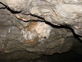 dsc05549.jpg