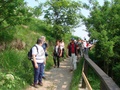dsc05579.jpg