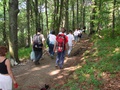 dsc05583.jpg