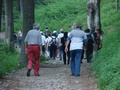 dsc05584.jpg