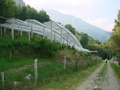 dsc05608.jpg