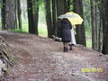 000_0474.jpg