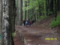 000_0475.jpg