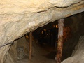 dsc04904.jpg