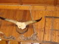 dsc04944.jpg