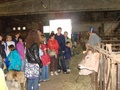 dsc04947.jpg