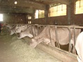 dsc04949.jpg