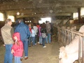 dsc04951.jpg