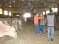 dsc04953.jpg